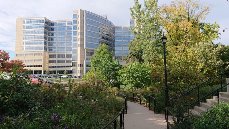 Where Exactly You Will Find The Arb