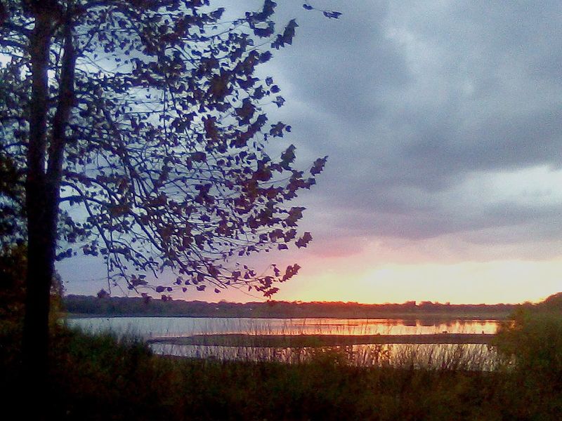 Where Flood Control Became Something Far More Beautiful