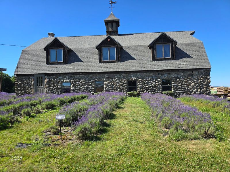 Where It All Began: The Story Behind the Property