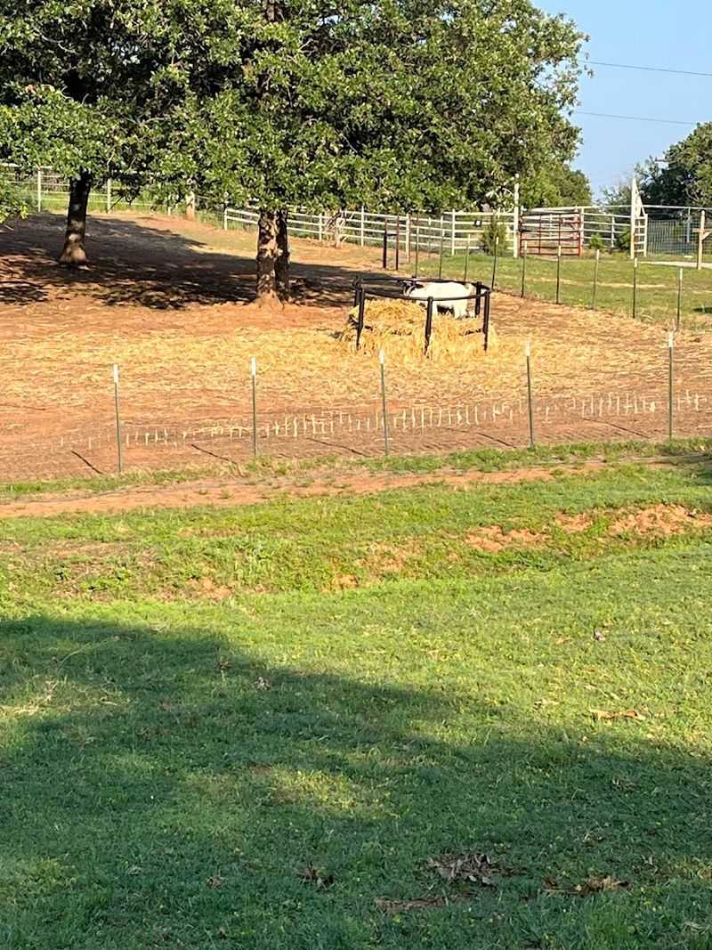 Where It All Begins: The Sanctuary's Location and Setting
