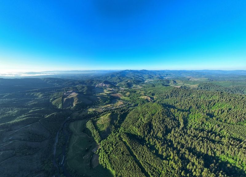Where It All Starts: The Forest's Location and Access Point Where It All Starts: The Forest's Location and Access Point