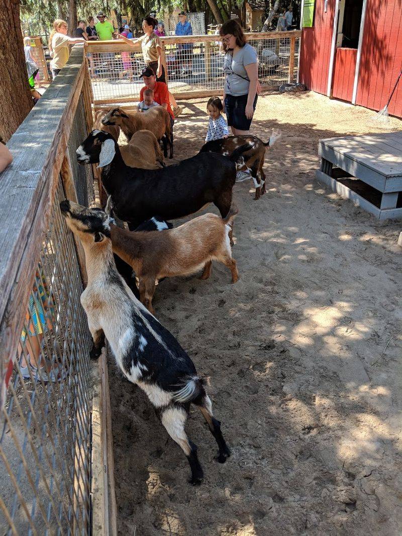 Where Kids Can Actually Touch the Animals Where Kids Can Actually Touch the Animals