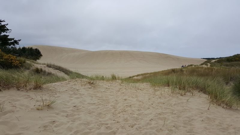 Where The Dunes Meet The Pacific Ocean