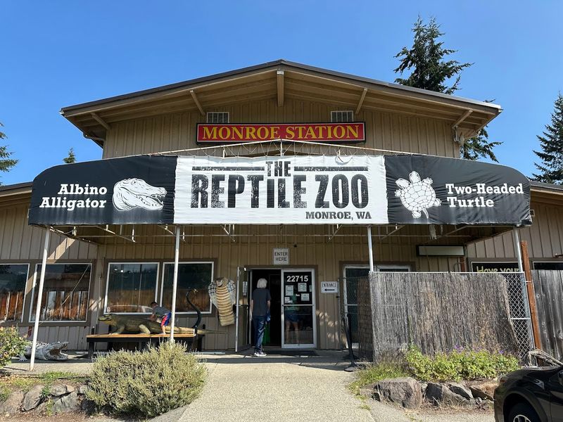 Where The Reptile Zoo Became Something More