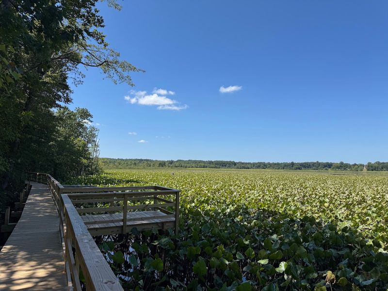 Where This Sanctuary Sits And Why It Matters