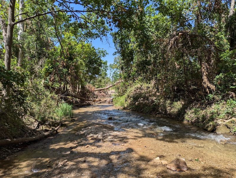 Where Travertine Creek Begins: Location and Setting
