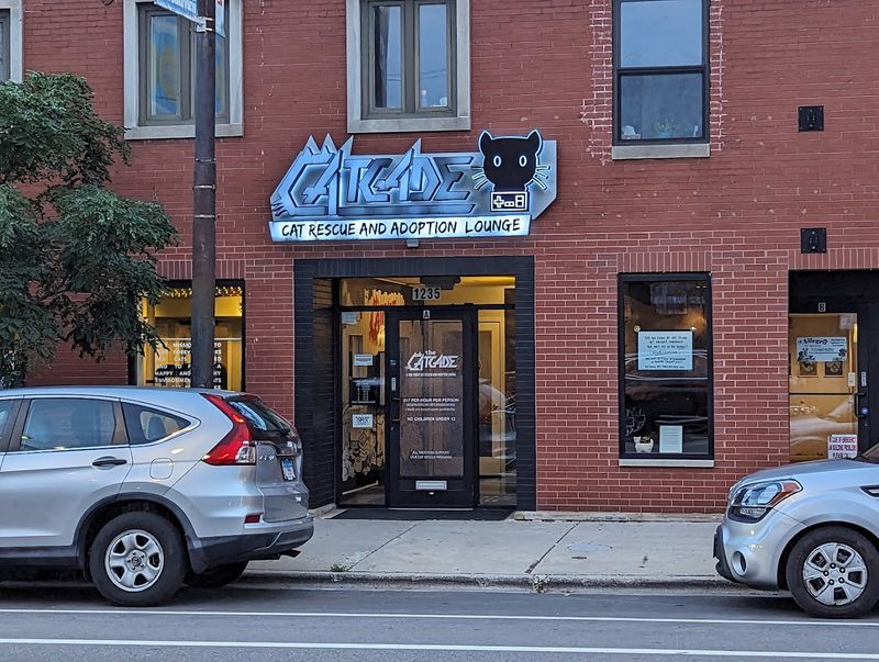 Where You Can Find The Catcade
