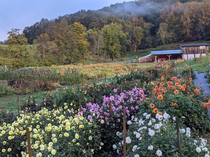 Where You Will Find This Floral Paradise