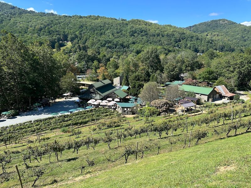 Where You Will Find This Mountain Vineyard