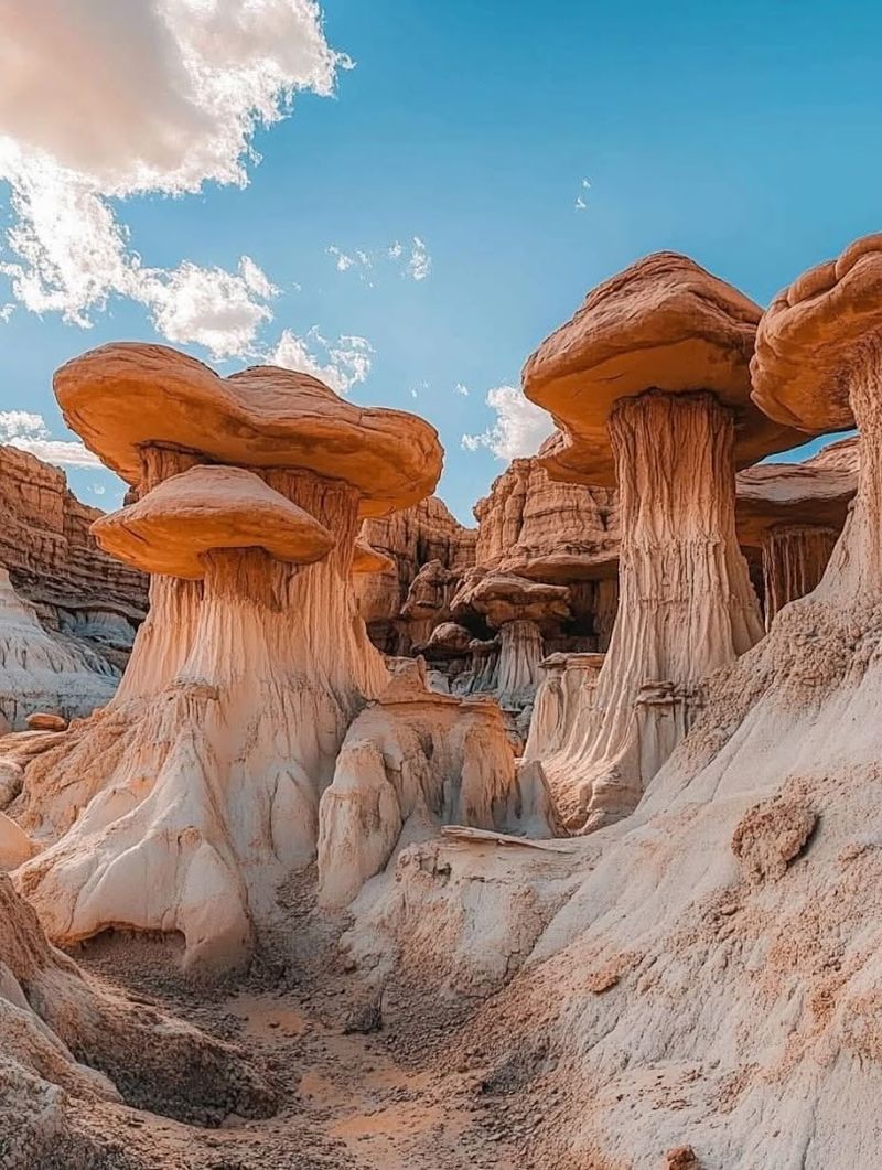 Where in the World Is This Place? Where in the World Is This Place?