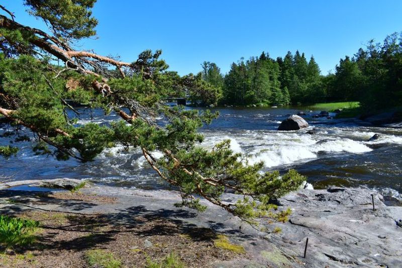 Where the Baptism River Steals the Show