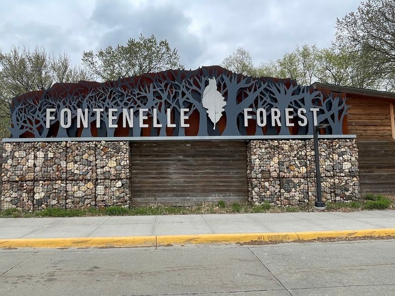 Where the Forest Begins: Address, Location, and First Impressions Where the Forest Begins: Address, Location, and First Impressions