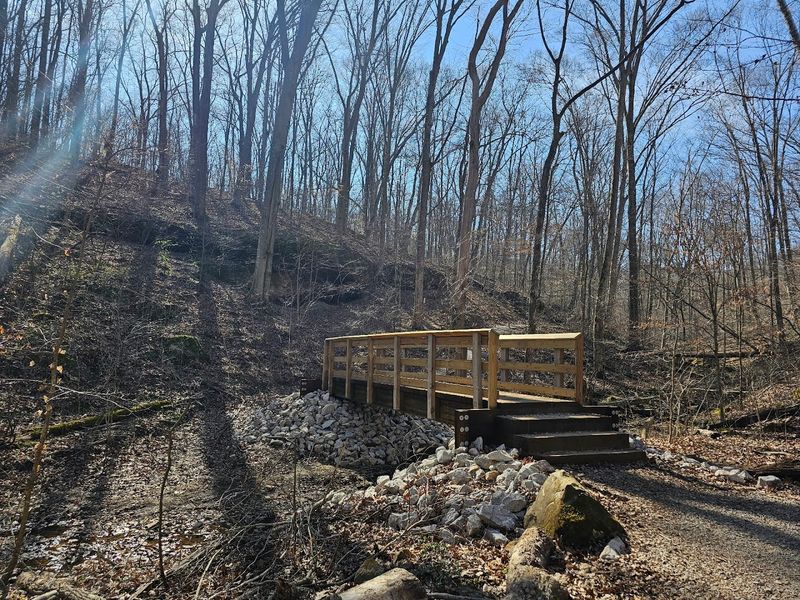 Where the Forest Begins: Location and Headquarters Where the Forest Begins: Location and Headquarters