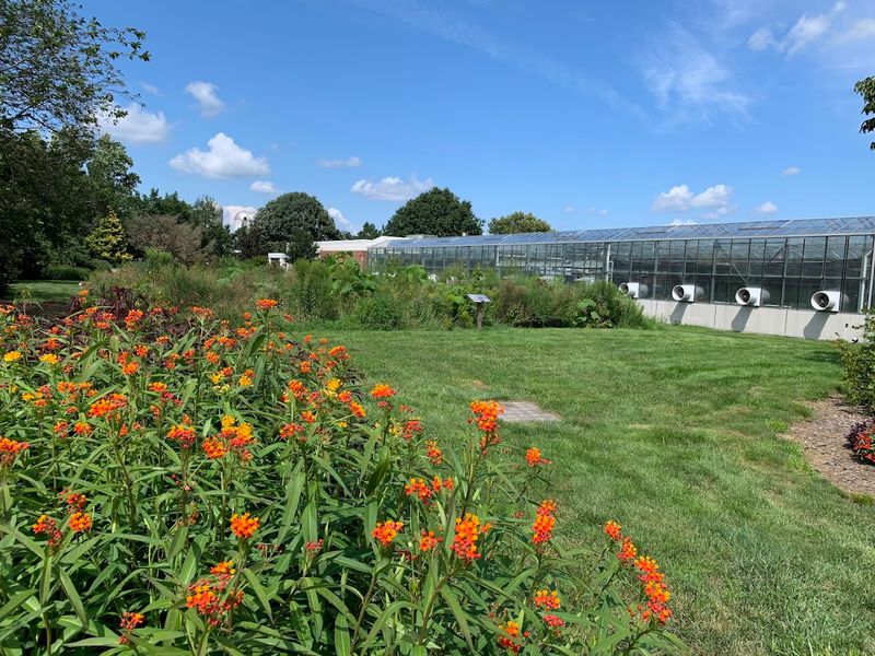 Where the Garden Actually Lives on Campus