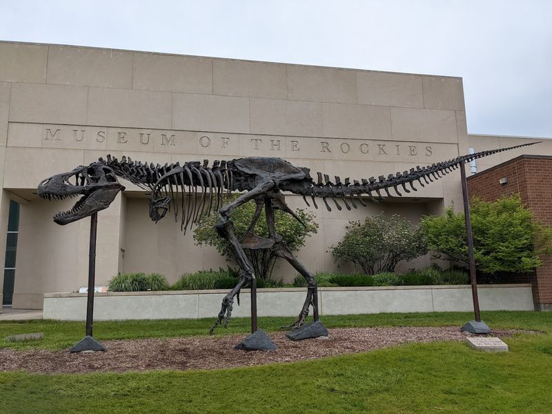 Where the Museum Stands and What It Promises Where the Museum Stands and What It Promises