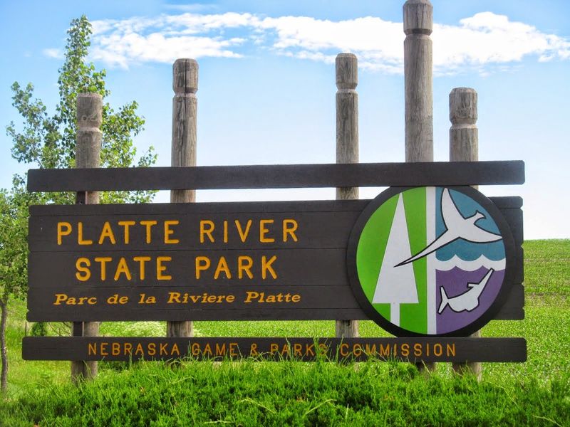 Where the Park Actually Is and What to Expect at the Gate