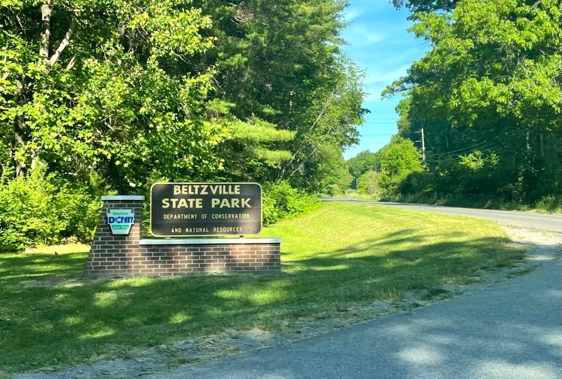 Where the Park Begins: Address, Location, and First Impressions