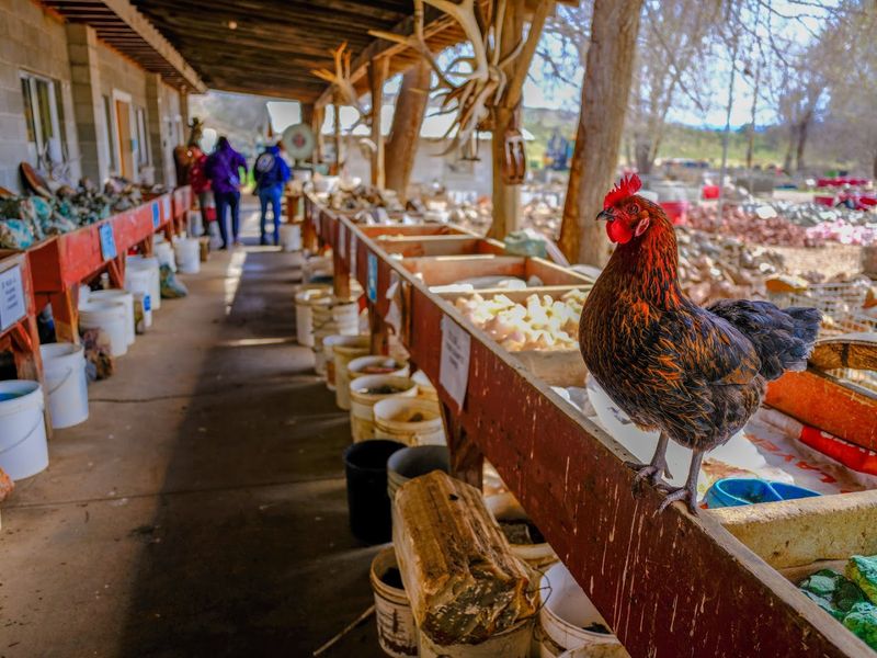 Where the Ranch Sits and How to Find It