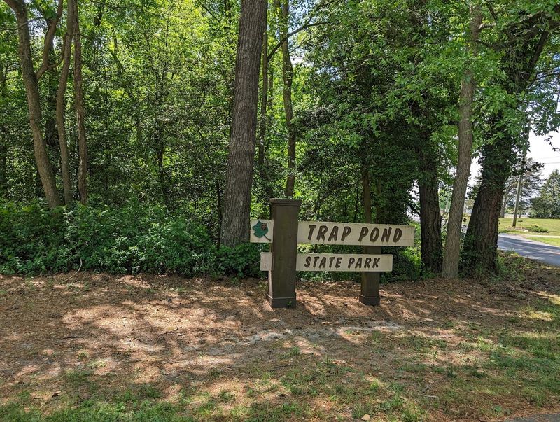 Where the Swamp Begins: Address, Location, and How to Find It