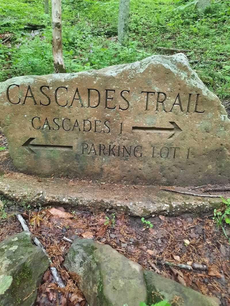 Where the Trail Actually Begins