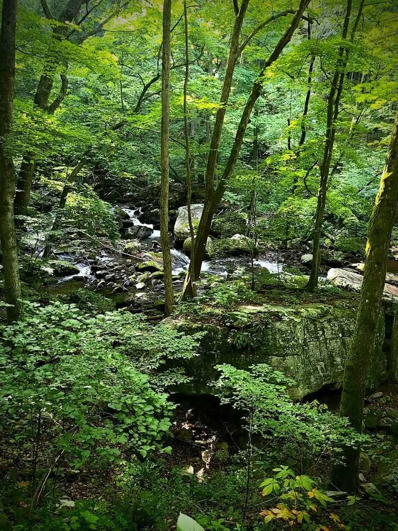 Where the Trail Begins: Location and Access Where the Trail Begins: Location and Access