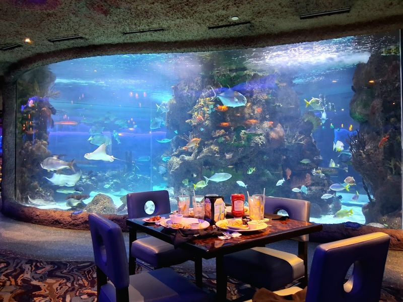 Where the Underwater World Begins Where the Underwater World Begins