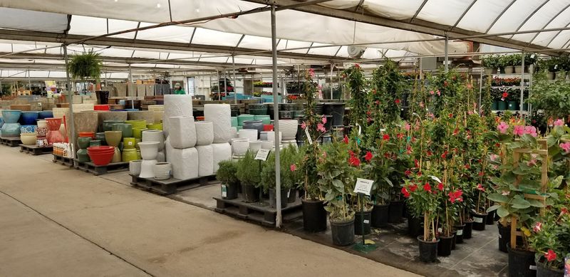 Where to Find TLC Garden Centers and What to Expect on Arrival
