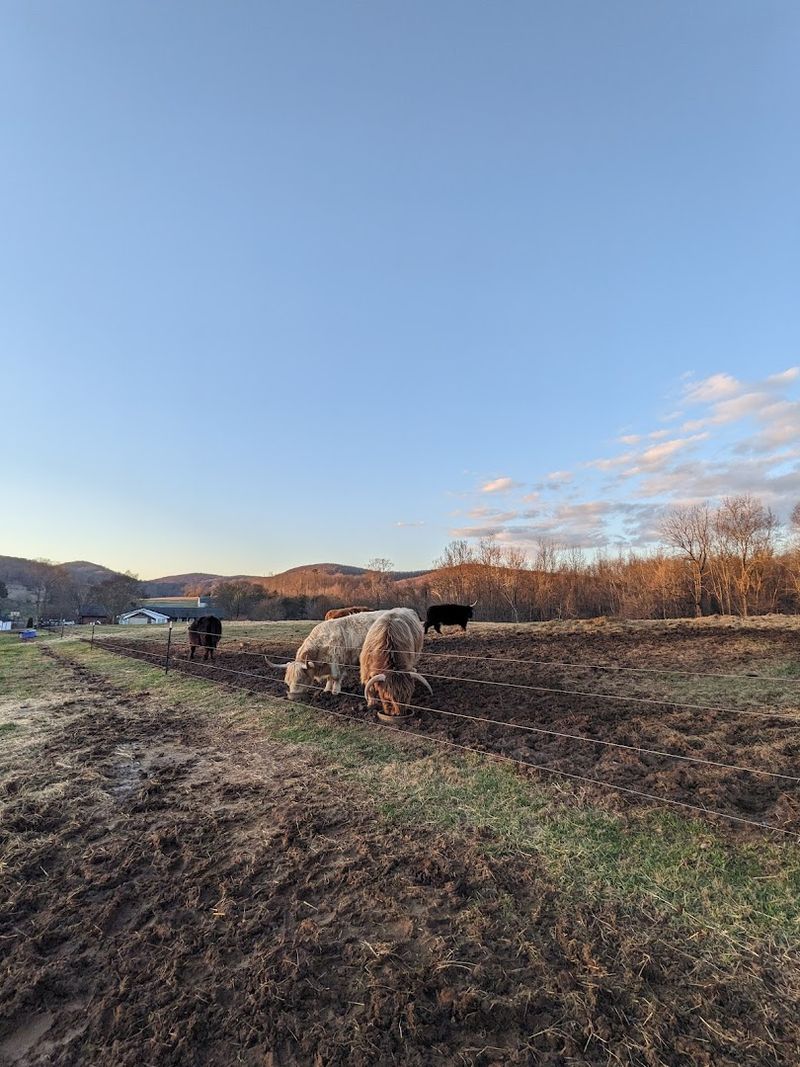 Where to Find This Farm and How to Get There Where to Find This Farm and How to Get There