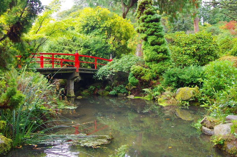 Where to Find This Hidden Corner of Seattle