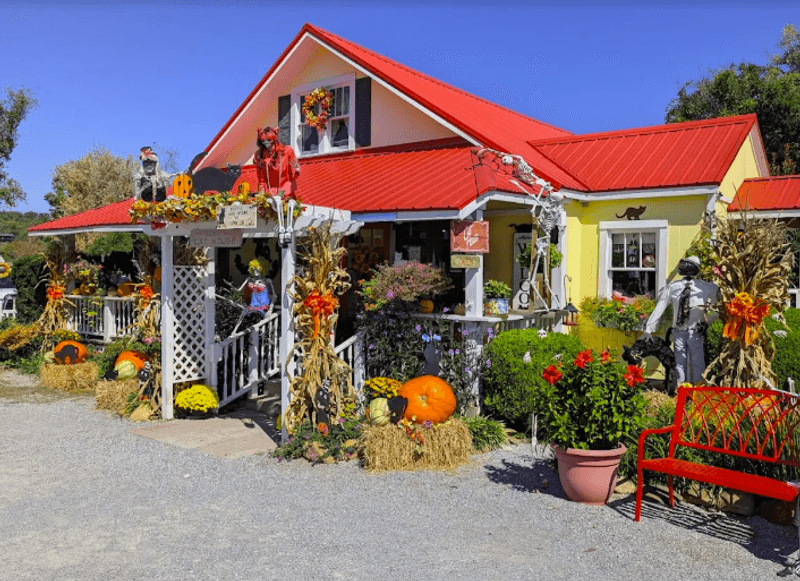 Where to Find This One-of-a-Kind Shop Where to Find This One-of-a-Kind Shop