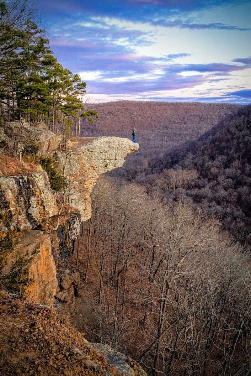 Whitaker Point Trail (Hawksbill Crag), Ozark National Forest, Arkansas Whitaker Point Trail (Hawksbill Crag), Ozark National Forest, Arkansas