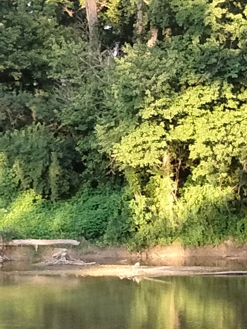 Whitewater River (Near Cincinnati) Whitewater River (Near Cincinnati)
