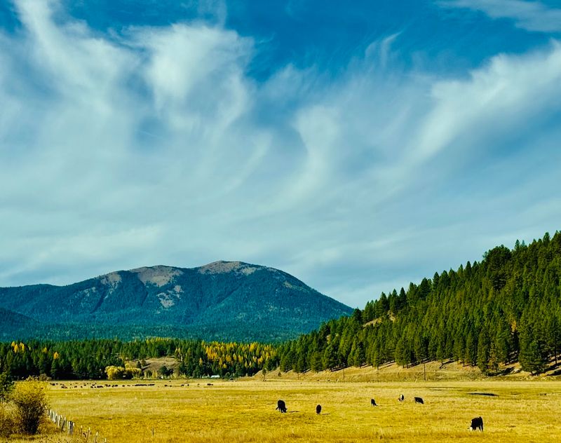 Whitney Bridge and Rail Remnants — Ghosts of Eastern Oregon's Logging Railroad