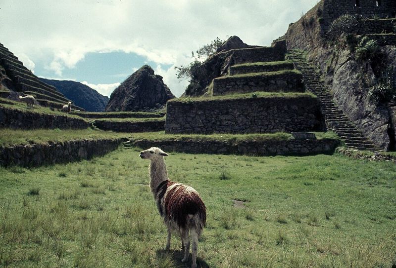 Who Actually Lived There? Who Actually Lived There?