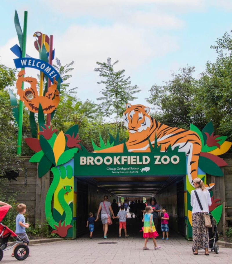 Why Brookfield Zoo Still Matters Almost a Century Later Why Brookfield Zoo Still Matters Almost a Century Later