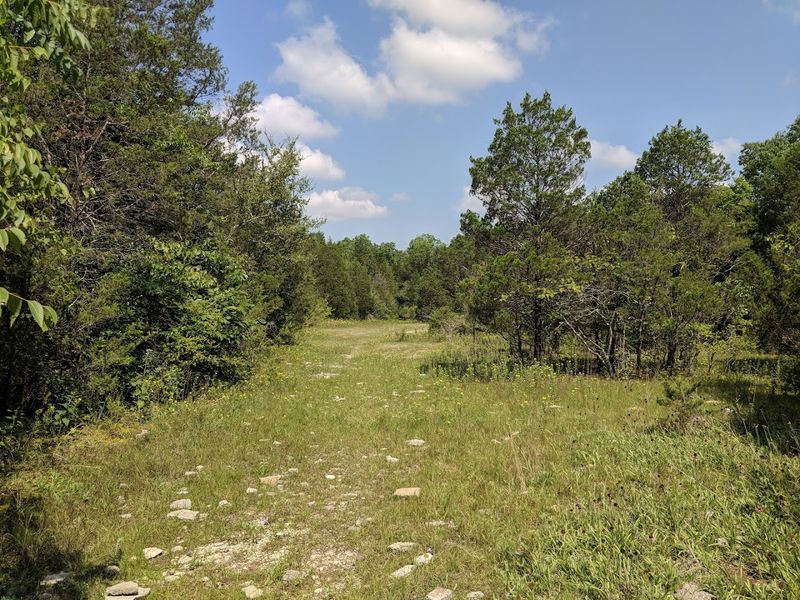 Why Cedar Glades Are So Rare Worldwide Why Cedar Glades Are So Rare Worldwide