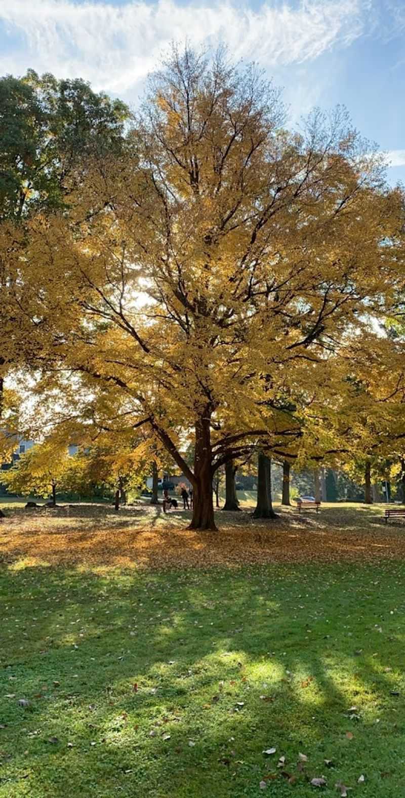 Why Fall Is the Season to Plan Your Visit Why Fall Is the Season to Plan Your Visit