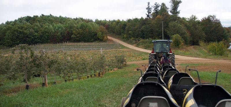 Why Families Keep Coming Back Season After Season