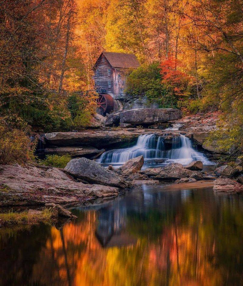 Why Photographers Keep Coming Back Season After Season