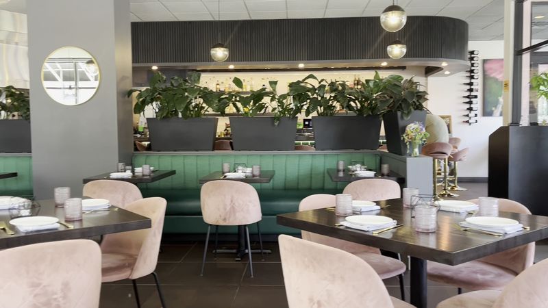 Why Pink Ivy Has Earned Its Place in the Twin Cities Conversation Why Pink Ivy Has Earned Its Place in the Twin Cities Conversation