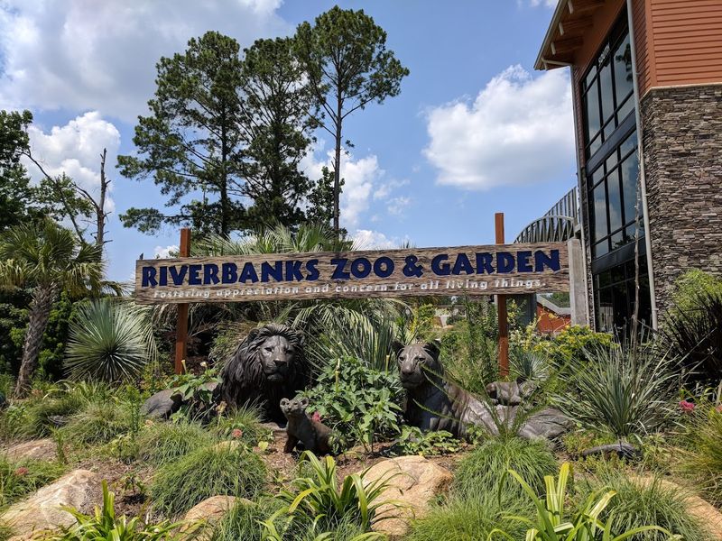 Why Riverbanks Deserves a Spot on Every South Carolina Itinerary Why Riverbanks Deserves a Spot on Every South Carolina Itinerary