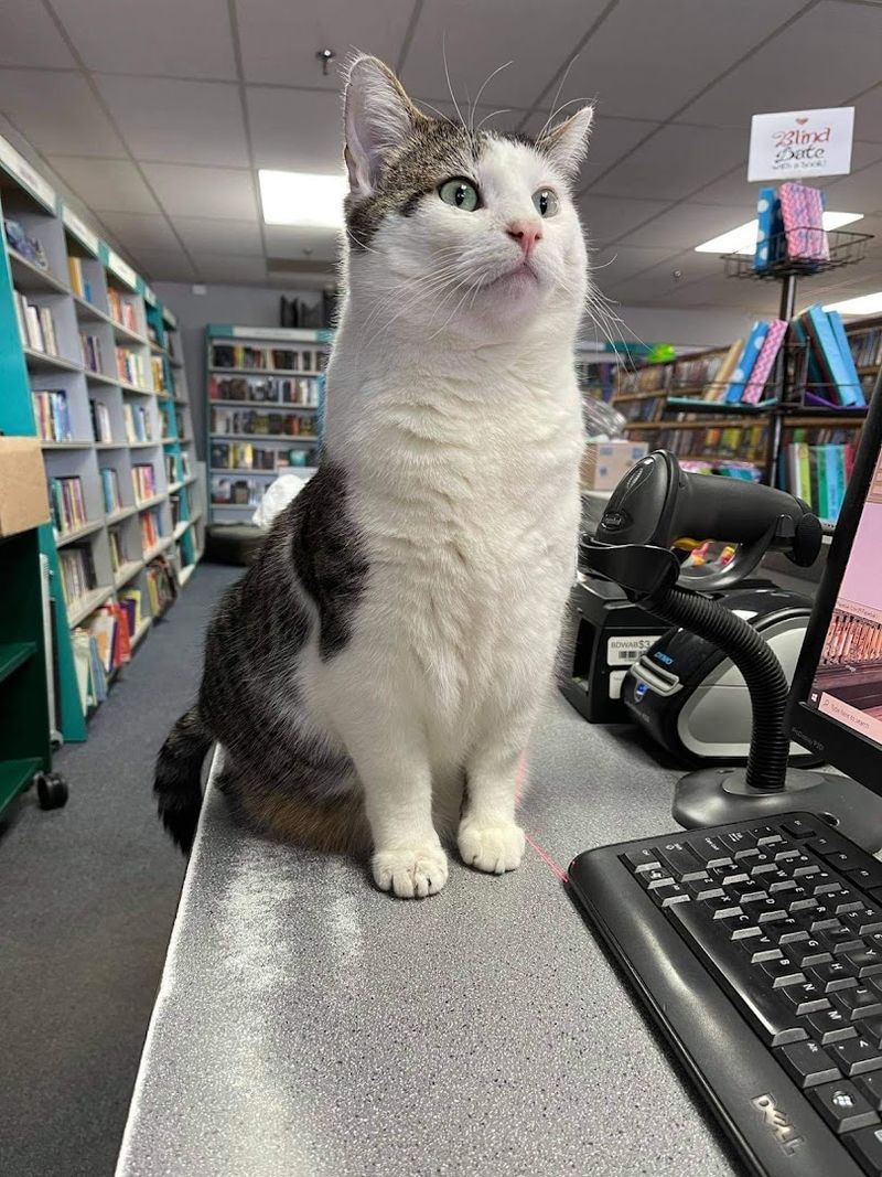 Why TAiLS of a Bookworm Is Worth the Trip Why TAiLS of a Bookworm Is Worth the Trip