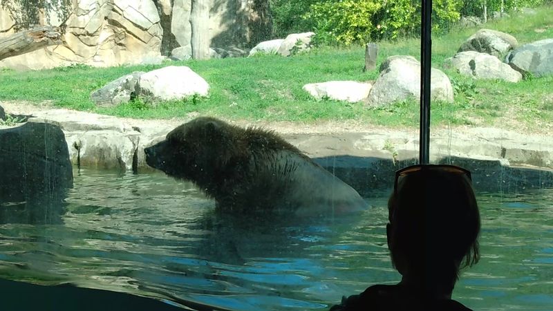 Why The Minnesota Zoo Earns Its Reputation Why The Minnesota Zoo Earns Its Reputation