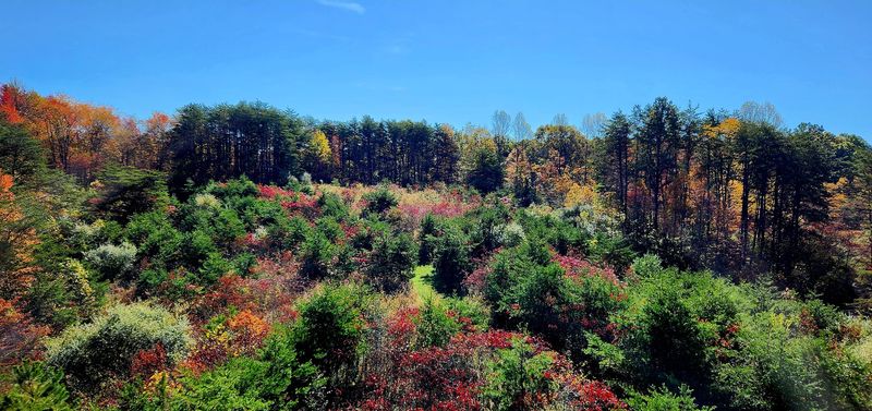 Why This Experience Stands Out in Ohio