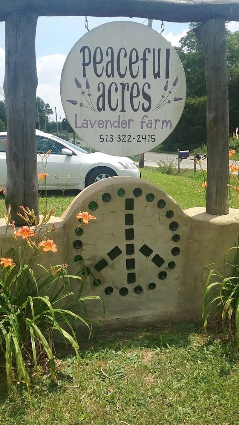 Why This Farm Stays With You