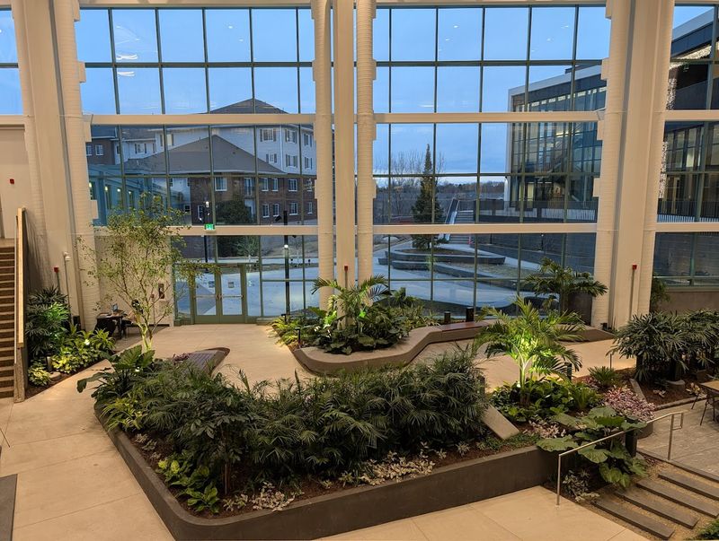 Why This Library Keeps Drawing People Back