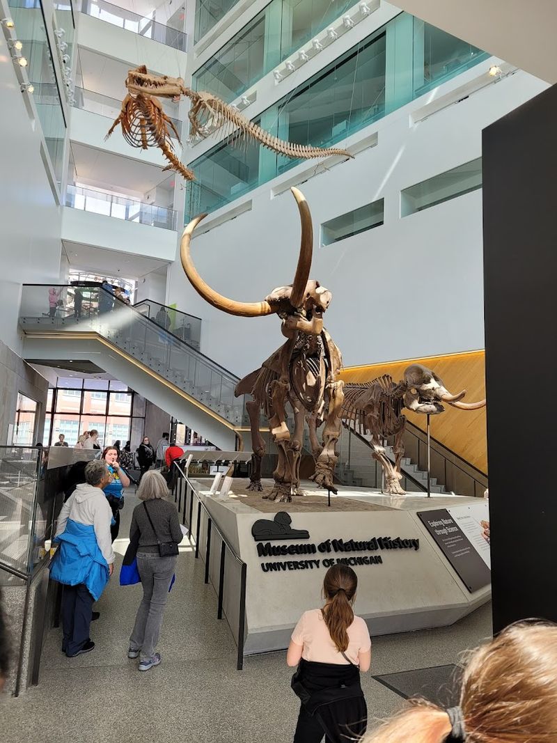 Why This Museum Belongs on Your Ann Arbor Itinerary Why This Museum Belongs on Your Ann Arbor Itinerary