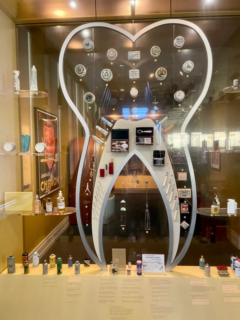 Why This Museum Deserves a Spot on Your Baltimore Itinerary Why This Museum Deserves a Spot on Your Baltimore Itinerary