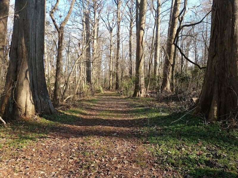Why This Park Deserves a Spot on Every NC Nature Lover's List Why This Park Deserves a Spot on Every NC Nature Lover's List