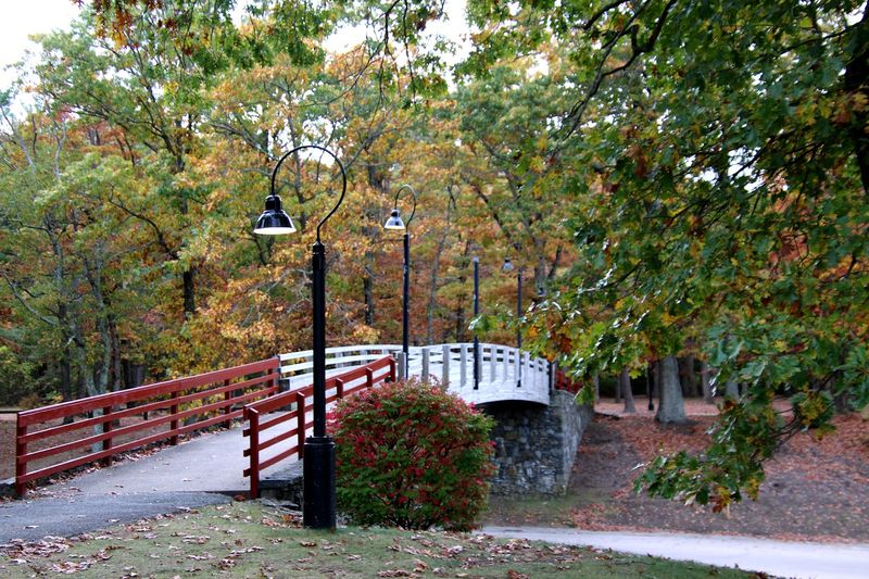 Why This Park Keeps Drawing People Back Why This Park Keeps Drawing People Back